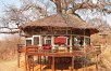 Tanzania Luxury Safari