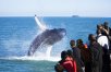 Reykjavik City Break w/ transfers, Sky Lagoon, Whales & Golden Circle