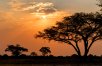 Kenya & Tanzania: The Serengeti & Beyond