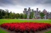 Legendary Castle Vacation with 5-Star Dublin Stay