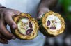 Taste of Ecuador: Slow Food Experience