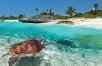 Playa del Carmen: All-Inclusive Hotel Riu Palace Mexico