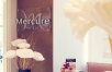 The Mercure Paris Place d'Italie Hotel