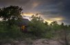 Sabi Sabi Little Bush Camp