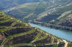 Explore Portugal’s Wine Regions