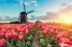 Best of the Netherlands