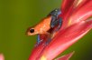 Costa Rica Family Vacation