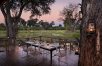 African Bush Camps: Khwai Tented Camp
