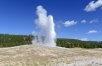 Montana Explorer with Yellowstone