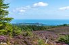 Irish Adventure: Dublin Mountains and Wicklow Way Trails