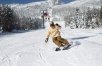 Trapp Family Lodge, Stowe