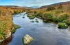 Irish Adventure: Dublin Mountains and Wicklow Way Trails