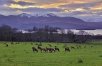 Dublin, Cork & Killarney by Train