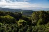 Chayote Lodge, Costa Rica: Where Nature and Culture Meet