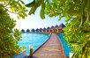 Magnificent Maldives (All-Inclusive)