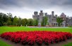 Best of Ireland + Ashford Castle