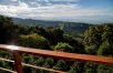 Costa Rica: Jungles and Java
