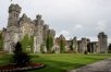 City & Country with Ashford Castle (Shannon)