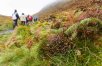Irish Highlights With Ring of Kerry