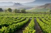 Spanish Wine Tour with Castle Stay