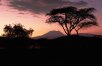 Kenya & Tanzania: The Serengeti & Beyond