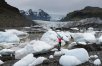 Ultimate Iceland w/ Puffin Experience and more