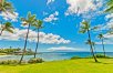 Experience Maui