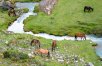 Peru Hiking Adventure