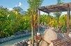 Costa Rica: Volcanoes, Mangroves & Beaches