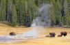 Montana Explorer with Yellowstone