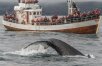 Reykjavik with Golden Circle & Whale Watching Tour