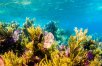 Belize Reef & Rainforest Experience