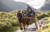 Affordable Luxury in Ireland: Killarney, Countryside & Castles