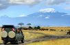 Kenya & Tanzania: The Serengeti & Beyond