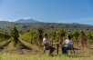 5-Star Sicily: Spa, Vineyards & Village Charm