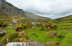 Kerry Way and Dublin Hike with Rail Travel