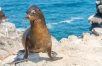 Galapagos Island Hopper with Quito