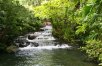 Costa Rica: Jungles and Java