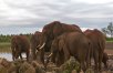 The Ark Lodge in Aberdare National Park