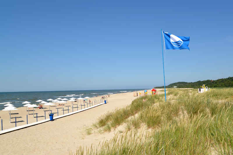 Blue Flag flying on a beach in Amber, Russia