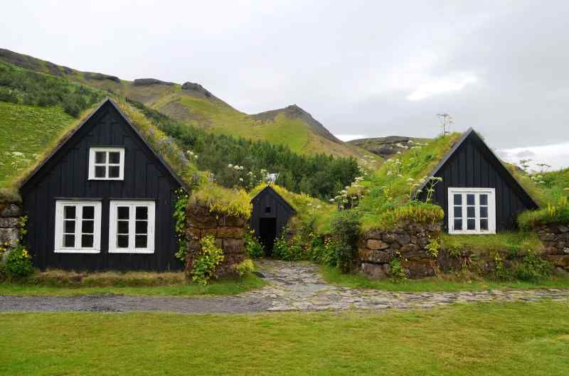 Grass-covered houses