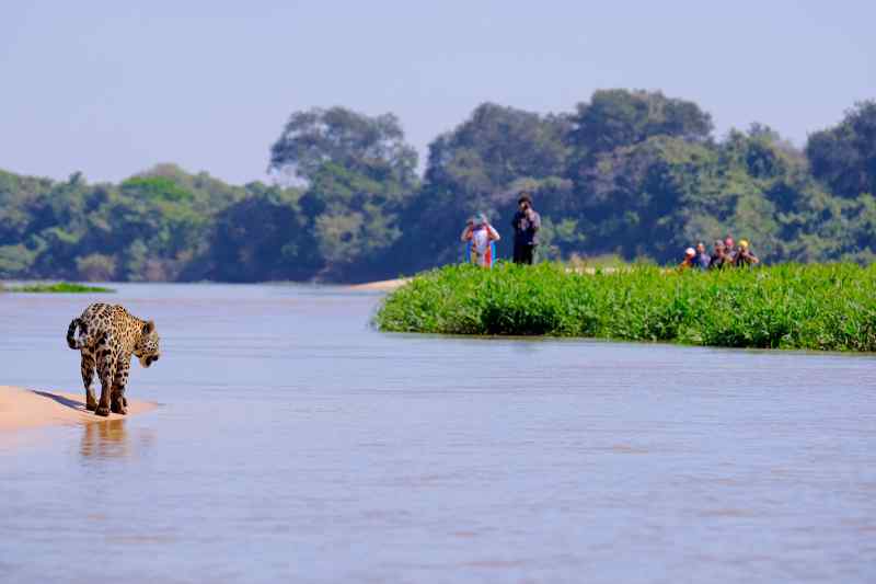 Pantanal, Brazil