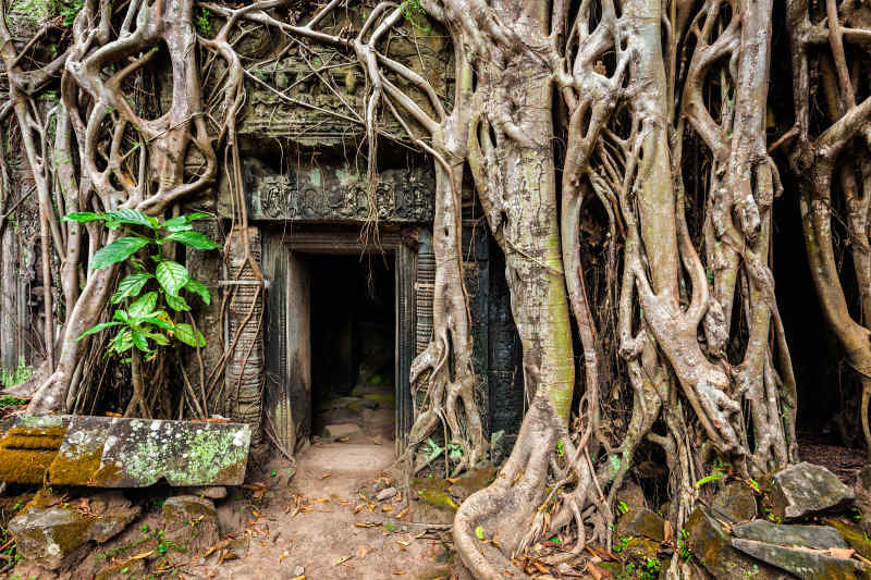 angkor wat temples