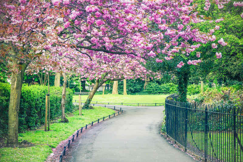 St. Stephen's Green