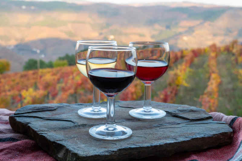 Wine in Douro Valley