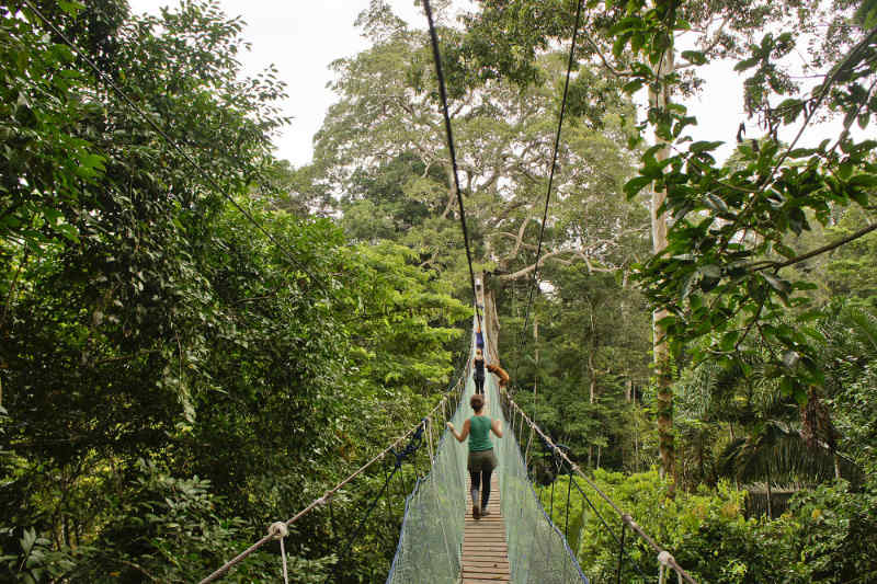 Peru Amazon Rainforest