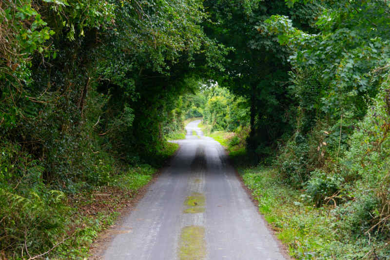 Westport bike path