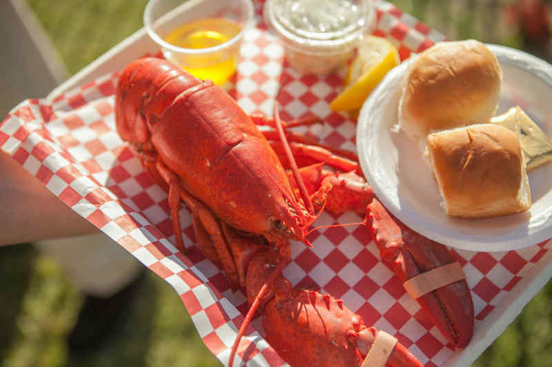 Maine Lobster Festival