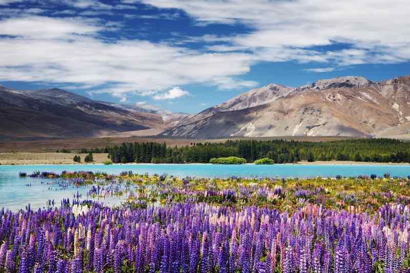 Lake Tekapo, New Zealand