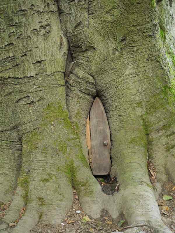 Elf door in tree